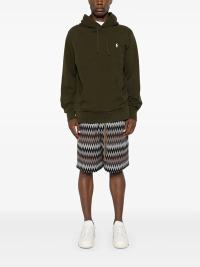 Polo Pony-embroidered hoodie