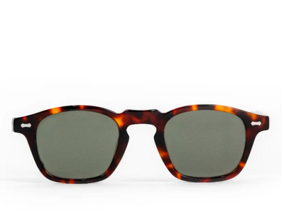 Timeless - Sunglasses