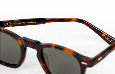 Timeless - Sunglasses